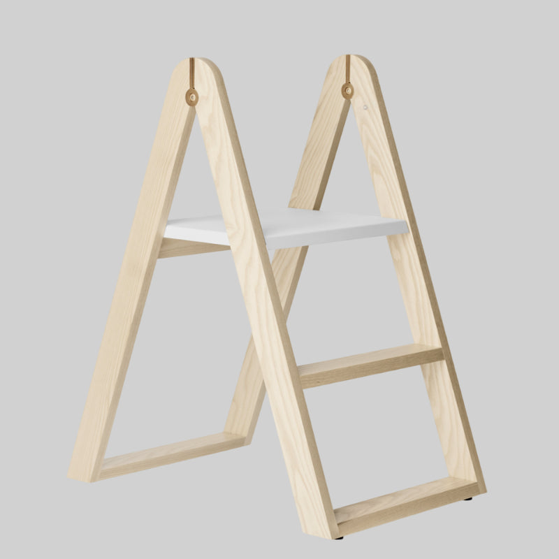 REECH Step Ladder