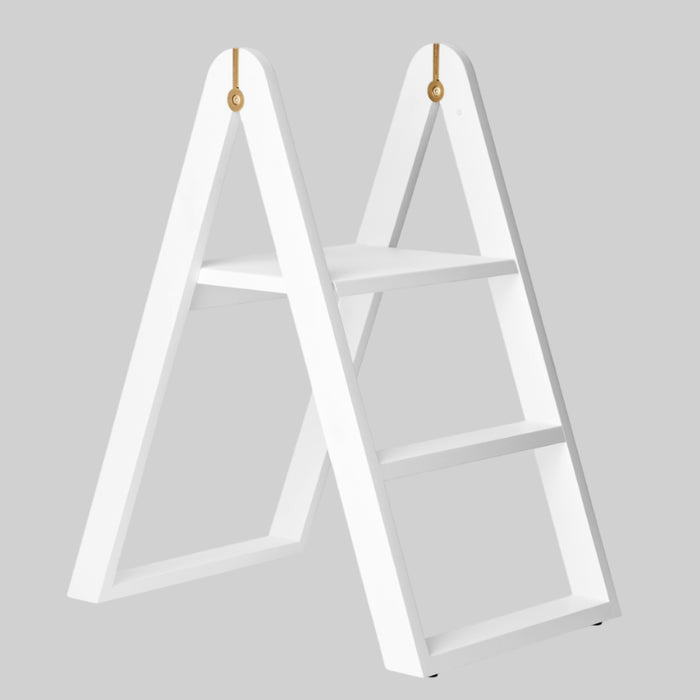 REECH Step Ladder