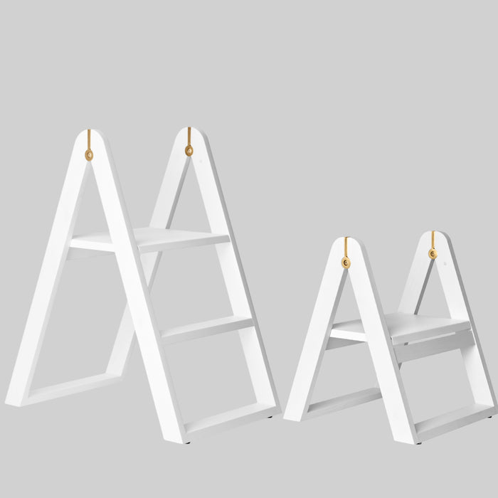 REECH Step Ladder