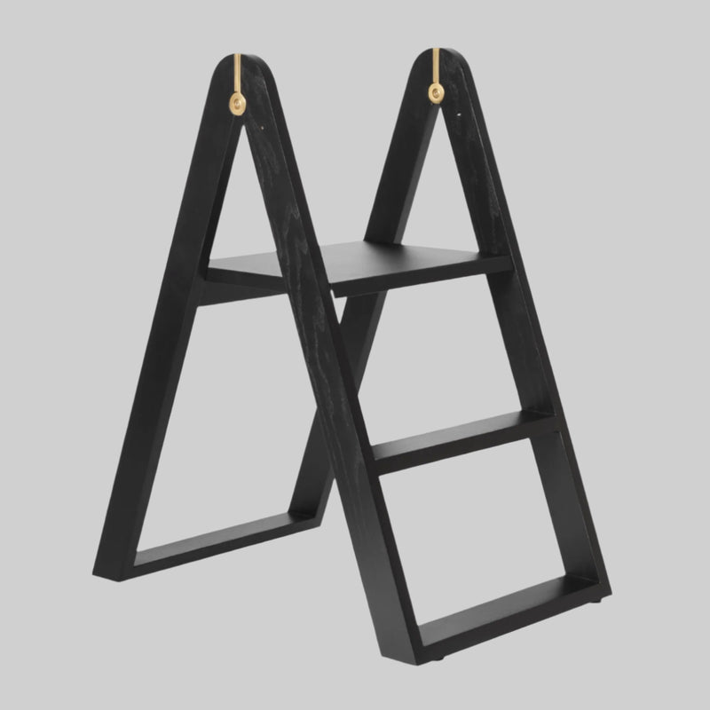 REECH Step Ladder