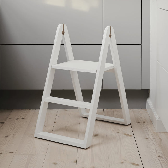 REECH Step Ladder