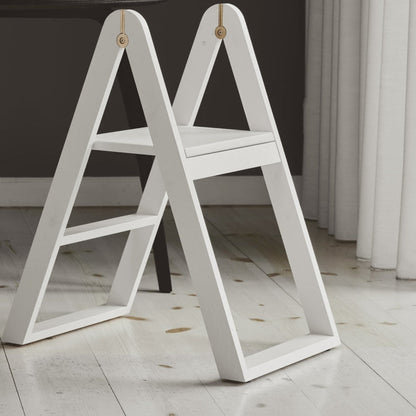 REECH Step Ladder